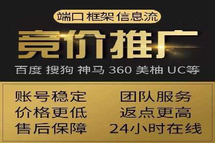 竞价推广代运营：成功案例解析
